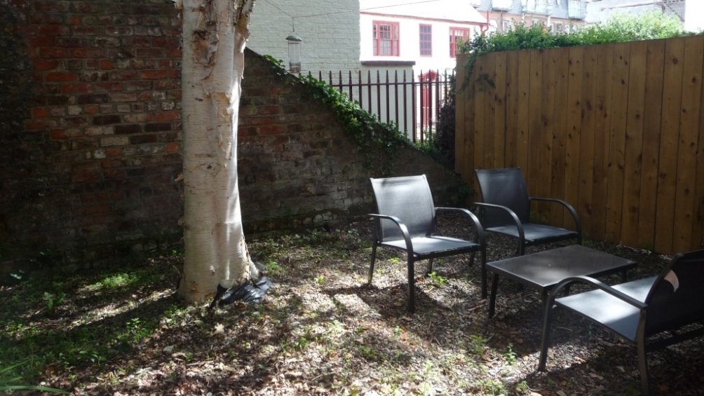 Rear yard